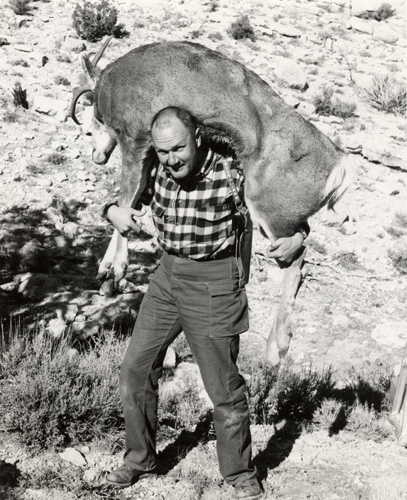 Jeff carries out his Mule Deer buck.