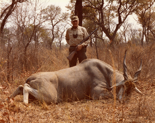 Eland, Rhodesia (Zimbabwe), 1980